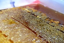 В Баку проходит очередная ярмарка меда (ФОТОРЕПОРТАЖ)