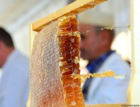 В Баку проходит очередная ярмарка меда (ФОТОРЕПОРТАЖ)