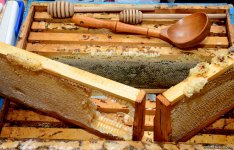 В Баку проходит очередная ярмарка меда (ФОТОРЕПОРТАЖ)