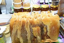В Баку проходит очередная ярмарка меда (ФОТОРЕПОРТАЖ)