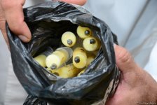 В Баку проходит очередная ярмарка меда (ФОТОРЕПОРТАЖ)