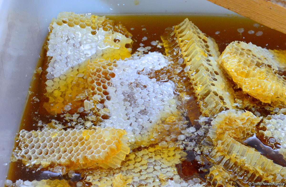 В Баку проходит очередная ярмарка меда (ФОТОРЕПОРТАЖ)