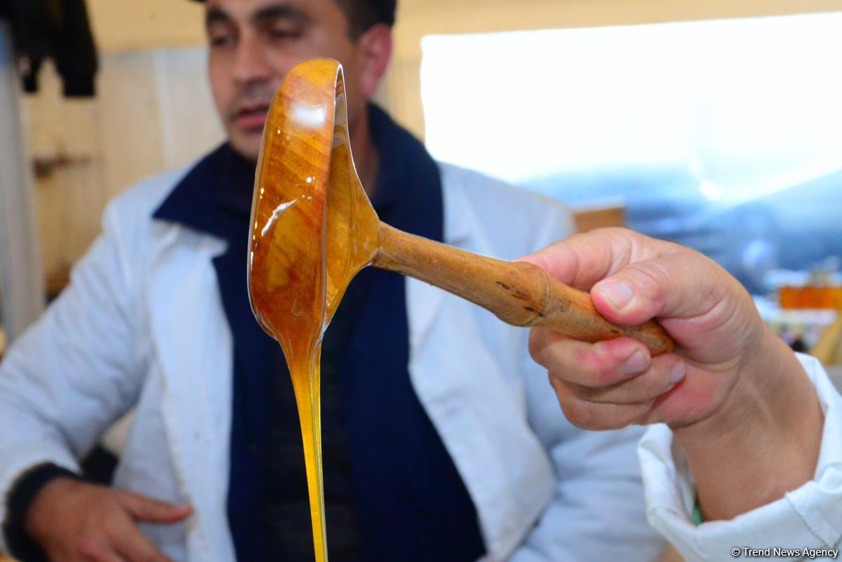 В Баку проходит очередная ярмарка меда (ФОТОРЕПОРТАЖ)