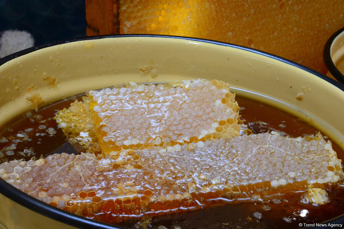 В Баку проходит очередная ярмарка меда (ФОТОРЕПОРТАЖ)