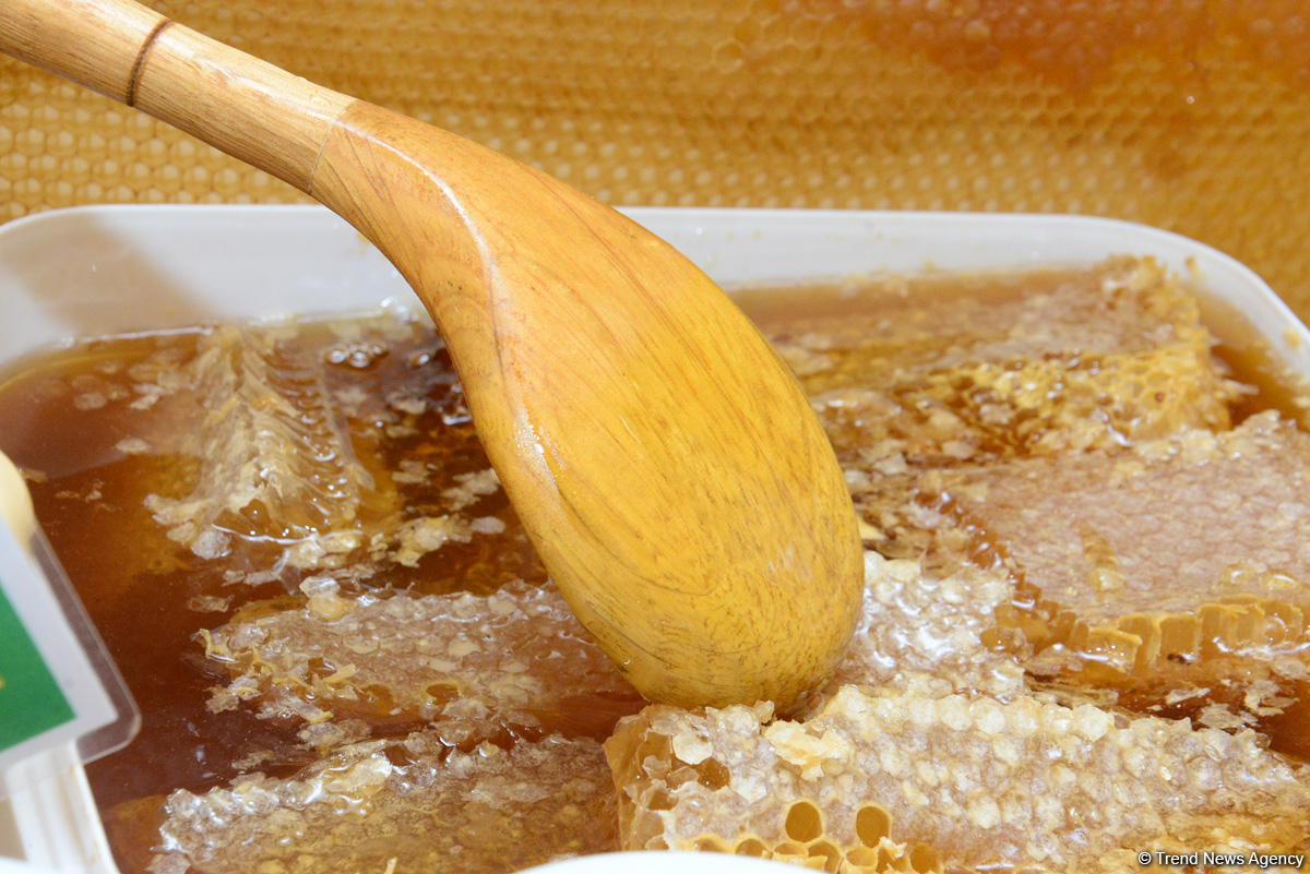 В Баку проходит очередная ярмарка меда (ФОТОРЕПОРТАЖ)