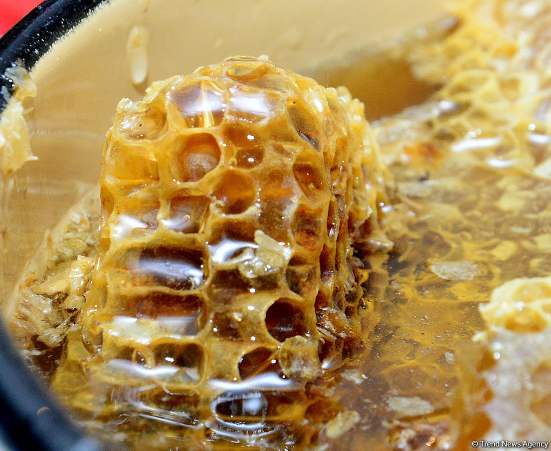 В Баку проходит очередная ярмарка меда (ФОТОРЕПОРТАЖ)