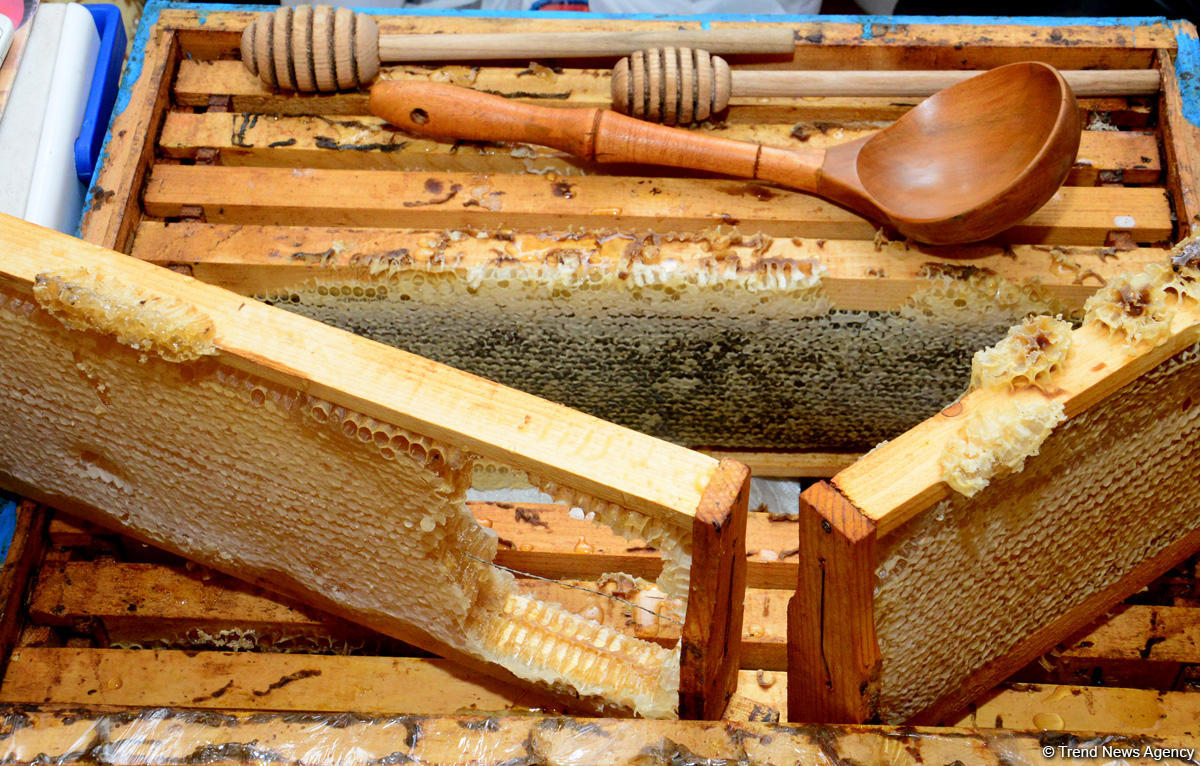 В Баку проходит очередная ярмарка меда (ФОТОРЕПОРТАЖ)