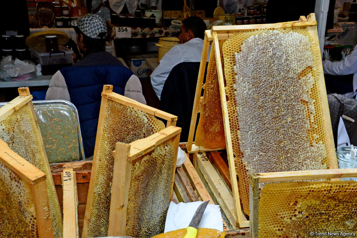 В Баку проходит очередная ярмарка меда (ФОТОРЕПОРТАЖ)