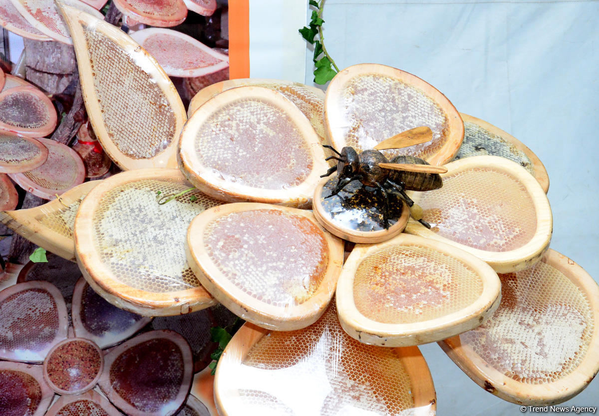 В Баку проходит очередная ярмарка меда (ФОТОРЕПОРТАЖ)