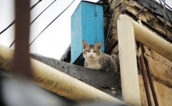 В Азербайджане проходят съемки шоу "Орел и решка. Перезагрузка" (ФОТО)