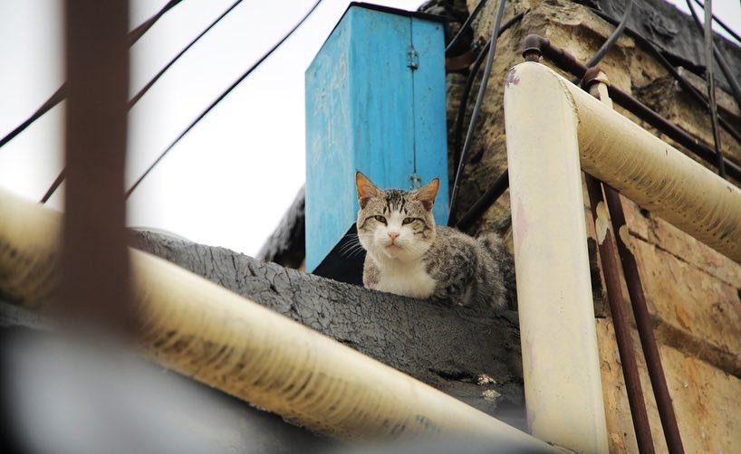 В Азербайджане проходят съемки шоу "Орел и решка. Перезагрузка" (ФОТО)