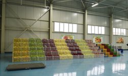 Президент Ильхам Алиев и Первая леди Мехрибан Алиева приняли участие в открытии завода ООО «Губаэкоаграр» (ФОТО)