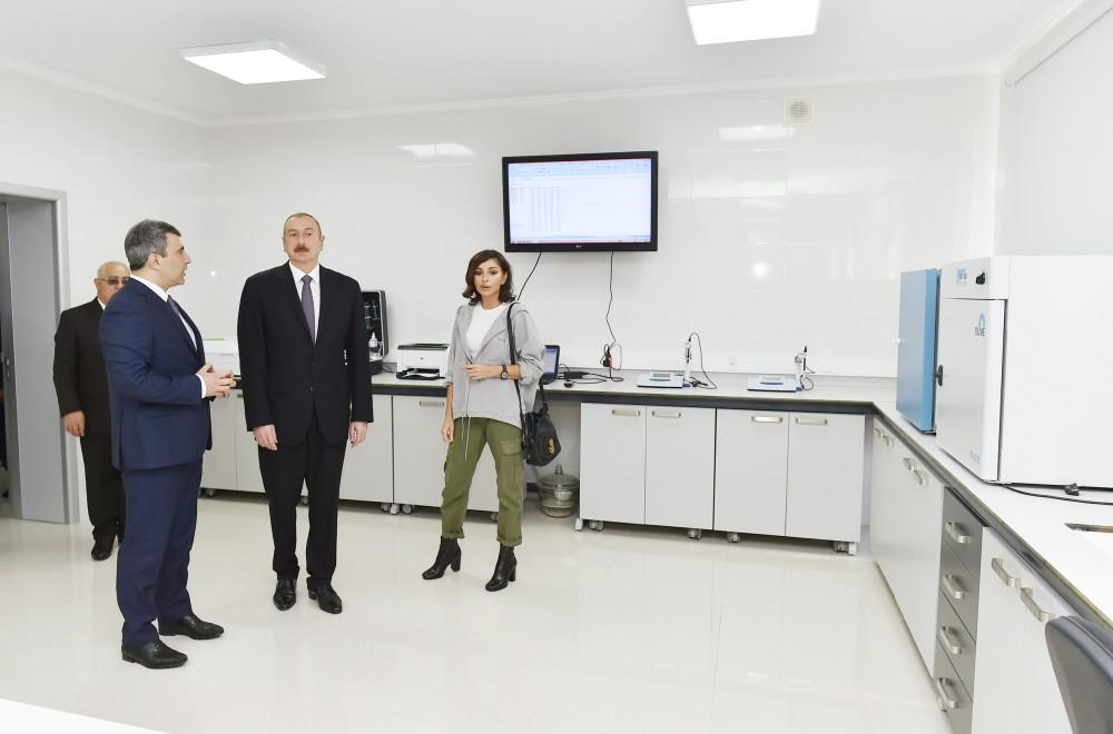Президент Ильхам Алиев и Первая леди Мехрибан Алиева ознакомились с  питомником саженцев НИИ фруктоводства и чаеводства в Губе (ФОТО)