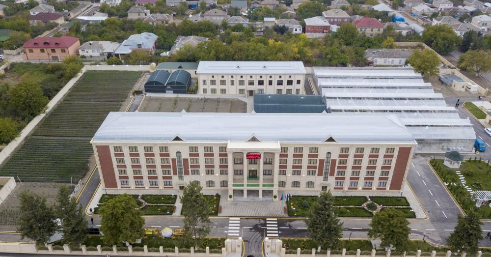 Президент Ильхам Алиев и Первая леди Мехрибан Алиева ознакомились с  питомником саженцев НИИ фруктоводства и чаеводства в Губе (ФОТО)