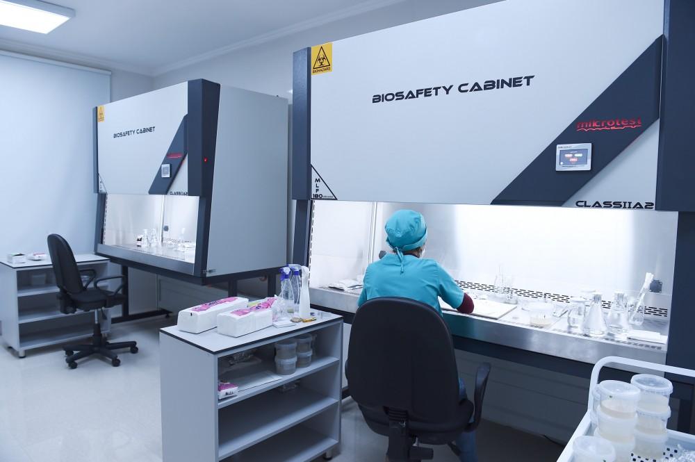 Президент Ильхам Алиев и Первая леди Мехрибан Алиева ознакомились с  питомником саженцев НИИ фруктоводства и чаеводства в Губе (ФОТО)