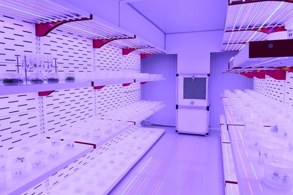 Президент Ильхам Алиев и Первая леди Мехрибан Алиева ознакомились с  питомником саженцев НИИ фруктоводства и чаеводства в Губе (ФОТО)