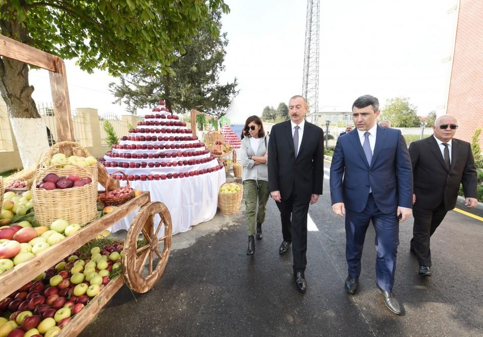 Президент Ильхам Алиев и Первая леди Мехрибан Алиева ознакомились с  питомником саженцев НИИ фруктоводства и чаеводства в Губе (ФОТО)