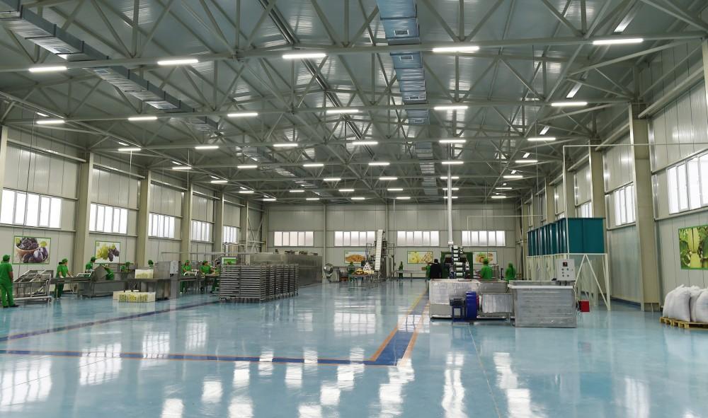 Президент Ильхам Алиев и Первая леди Мехрибан Алиева приняли участие в открытии завода ООО «Губаэкоаграр» (ФОТО)