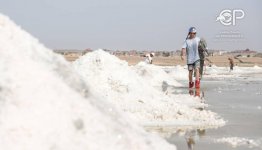 Российский вейкбордист прокатился по азербайджанскому Мертвому морю (ВИДЕО, ФОТО)