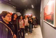 В Баку в галерее YAY состоялось открытие выставки "Функция. Структура. Изменение" (ФОТО)