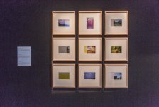 В Баку в галерее YAY состоялось открытие выставки "Функция. Структура. Изменение" (ФОТО)