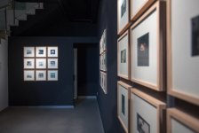 В Баку в галерее YAY состоялось открытие выставки "Функция. Структура. Изменение" (ФОТО)