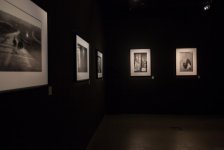 В Баку в галерее YAY состоялось открытие выставки "Функция. Структура. Изменение" (ФОТО)