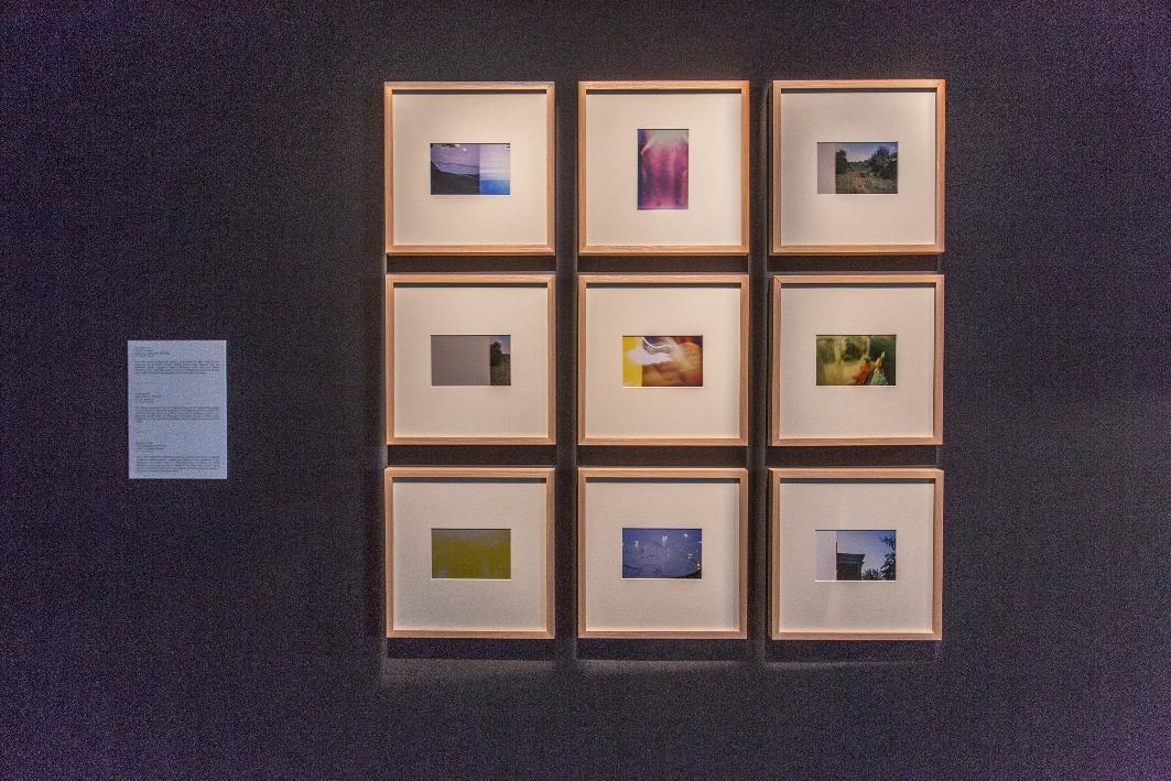 В Баку в галерее YAY состоялось открытие выставки "Функция. Структура. Изменение" (ФОТО)