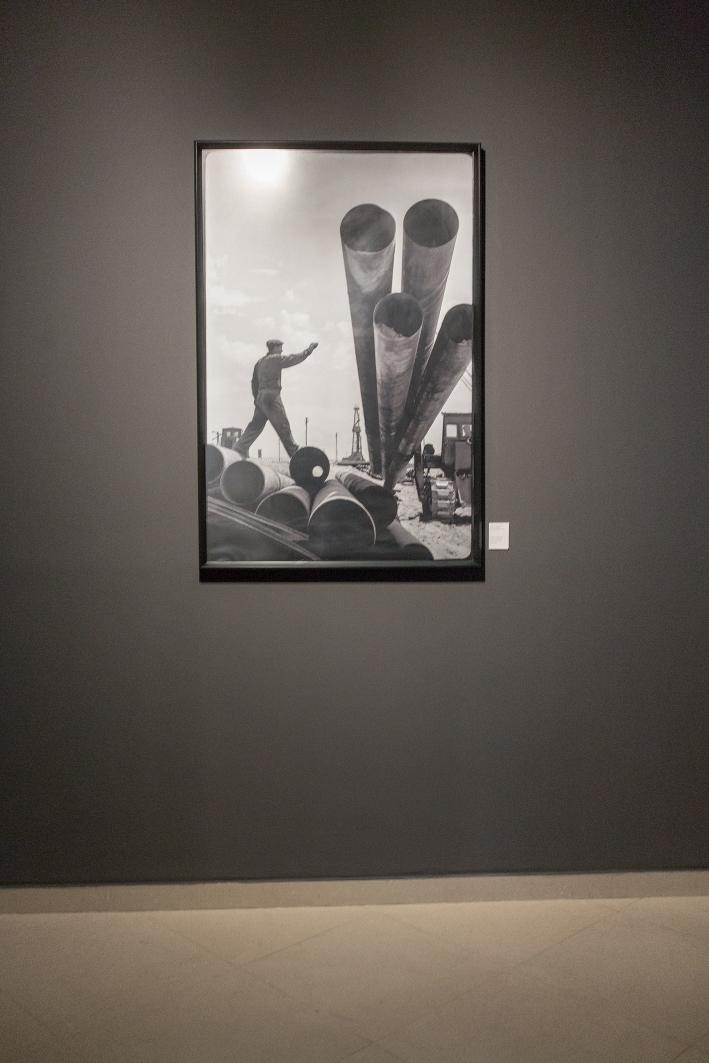 В Баку в галерее YAY состоялось открытие выставки "Функция. Структура. Изменение" (ФОТО)