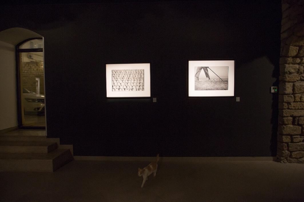 В Баку в галерее YAY состоялось открытие выставки "Функция. Структура. Изменение" (ФОТО)