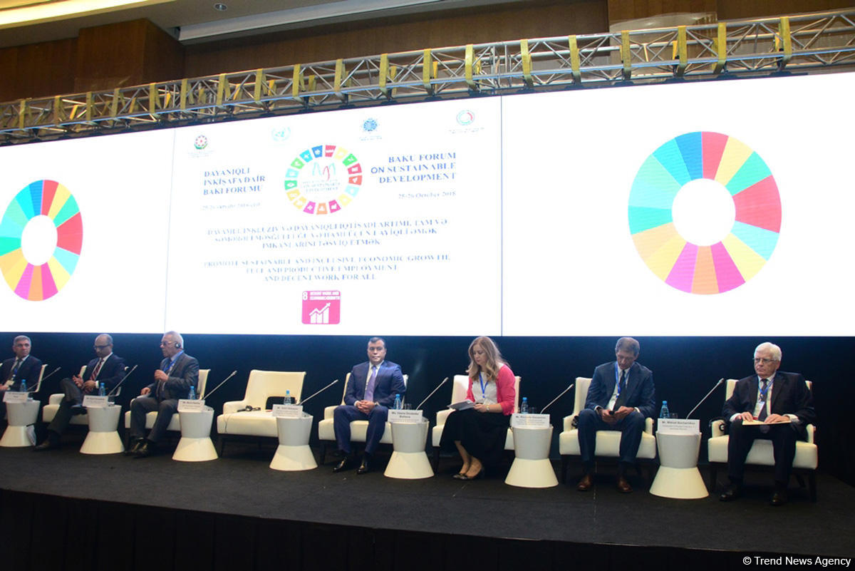 В Азербайджане ежегодно в рынок труда выходит 100 тыс. новой рабочей силы - министр (ФОТО)