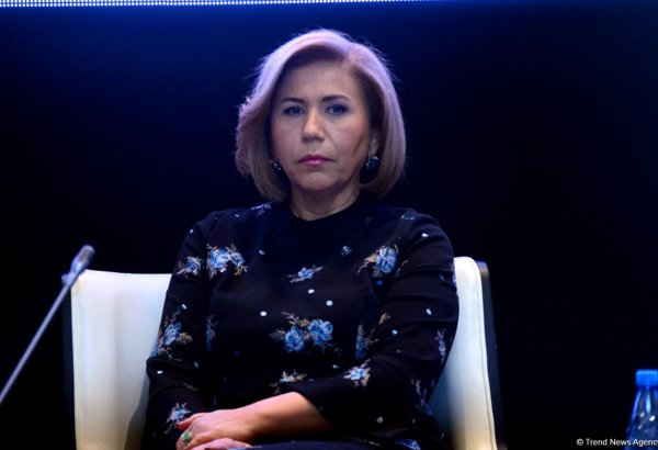 Положение беженцев в Азербайджане лучше положения беженцев в других странах - вице-спикер