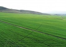 Президент Ильхам Алиев и Первая леди Мехрибан Алиева приняли участие в открытии Гахского агропарка (ФОТО)