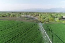 Президент Ильхам Алиев и Первая леди Мехрибан Алиева приняли участие в открытии Гахского агропарка (ФОТО)