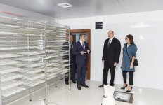 Президент Ильхам Алиев и Первая леди Мехрибан Алиева приняли участие в открытии реконструированной станции племенного шелководства в Гахе (ФОТО)