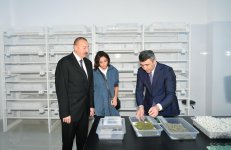 Президент Ильхам Алиев и Первая леди Мехрибан Алиева приняли участие в открытии реконструированной станции племенного шелководства в Гахе (ФОТО)