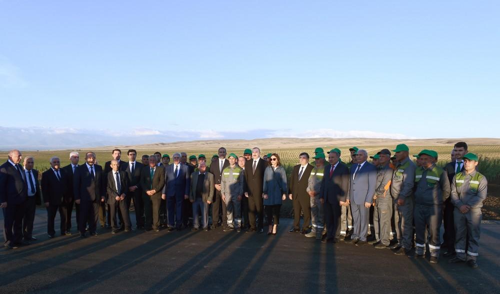Президент Ильхам Алиев и Первая леди Мехрибан Алиева приняли участие в открытии Гахского агропарка (ФОТО)