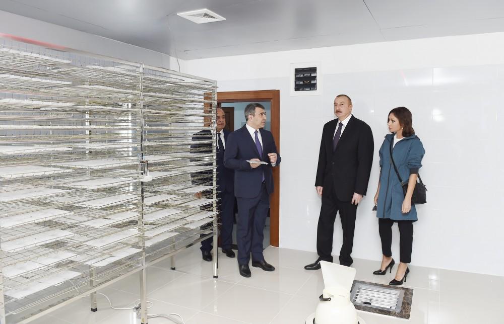 Президент Ильхам Алиев и Первая леди Мехрибан Алиева приняли участие в открытии реконструированной станции племенного шелководства в Гахе (ФОТО)