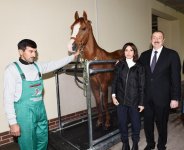 Президент Ильхам Алиев и Первая леди Мехрибан Алиева приняли участие в открытии Карабахского коневодческого комплекса (ФОТО)