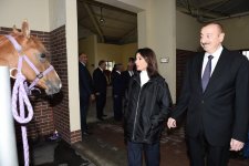 Президент Ильхам Алиев и Первая леди Мехрибан Алиева приняли участие в открытии Карабахского коневодческого комплекса (ФОТО)