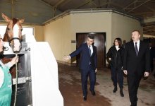 Президент Ильхам Алиев и Первая леди Мехрибан Алиева приняли участие в открытии Карабахского коневодческого комплекса (ФОТО)