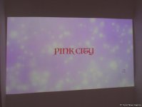 Застенчивый мальчик из розового будущего, или Влияние соцсетей на  азербайджанское общество (ФОТО)