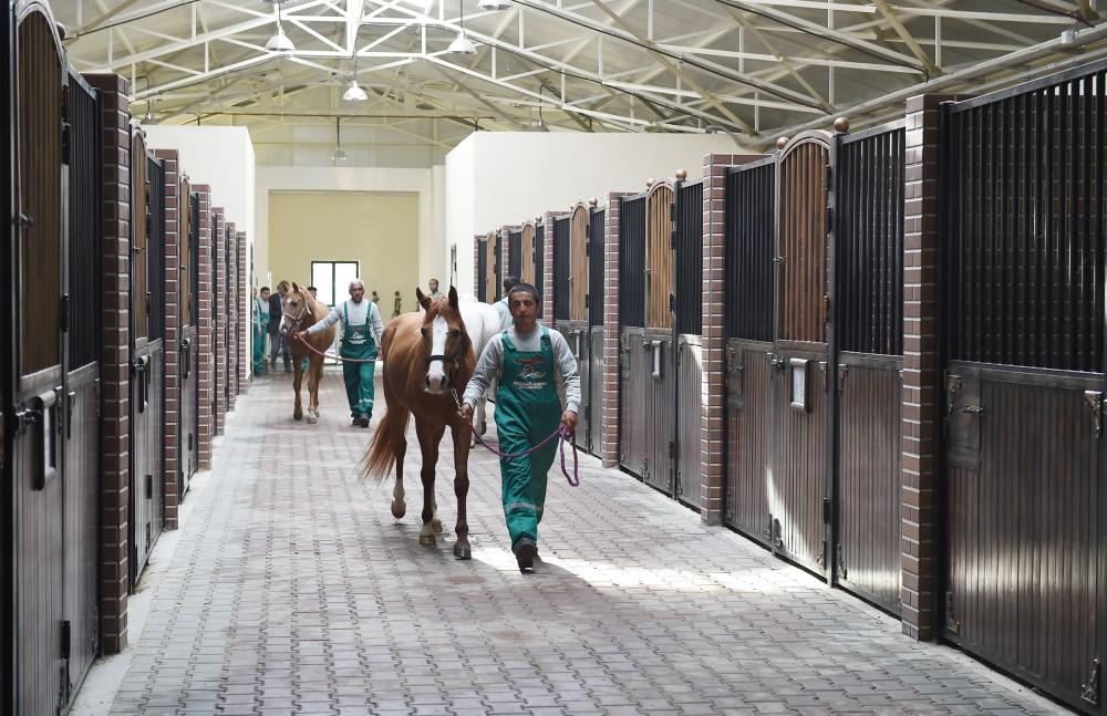 Президент Ильхам Алиев и Первая леди Мехрибан Алиева приняли участие в открытии Карабахского коневодческого комплекса (ФОТО)