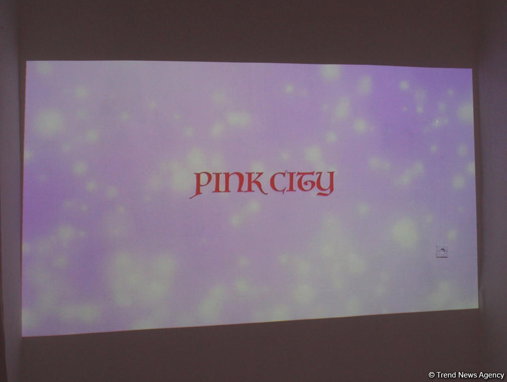 Застенчивый мальчик из розового будущего, или Влияние соцсетей на  азербайджанское общество (ФОТО)