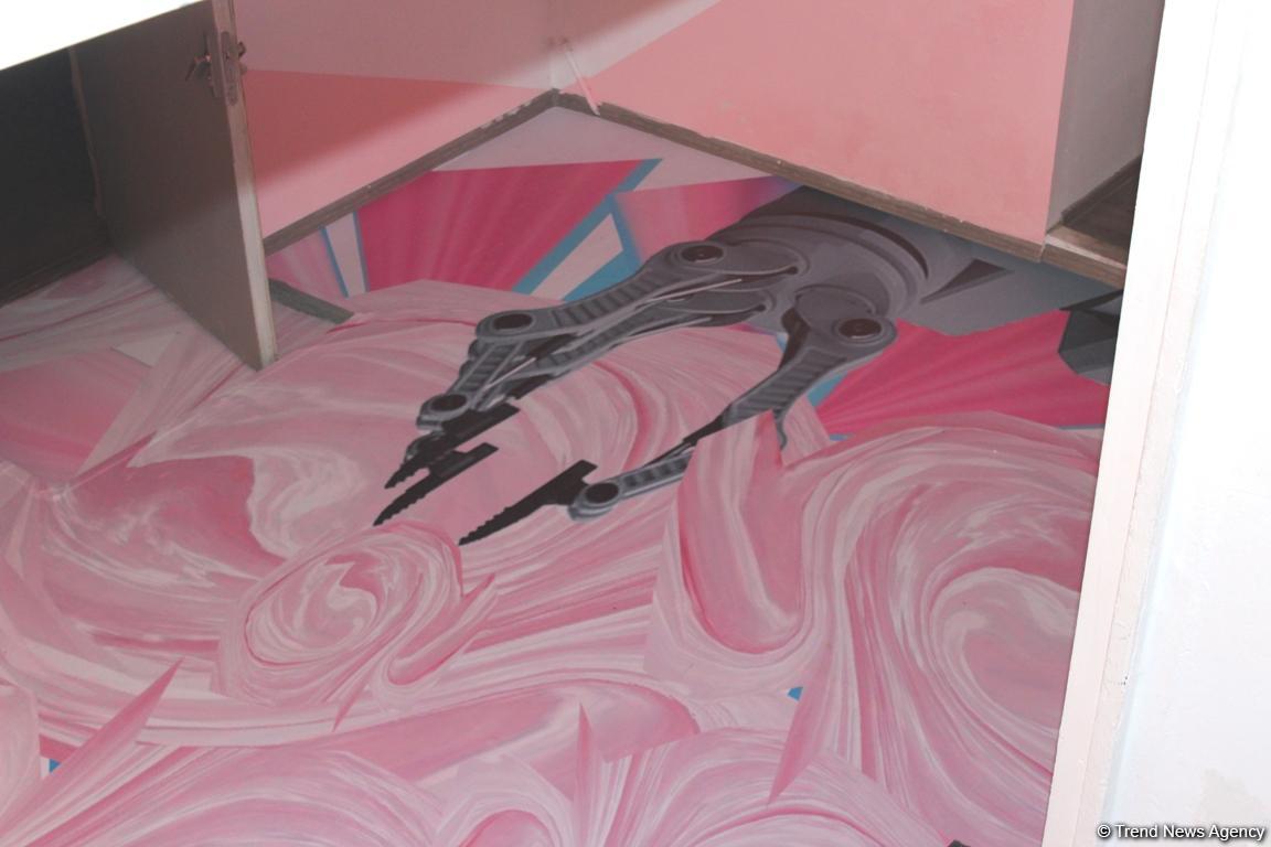 Застенчивый мальчик из розового будущего, или Влияние соцсетей на  азербайджанское общество (ФОТО)