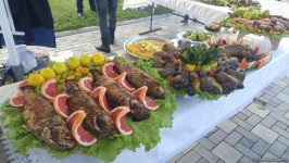 В Лянкяране проходит Фестиваль чая, чалтыка и цитрусовых (ФОТО)