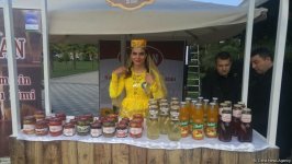 В Лянкяране проходит Фестиваль чая, чалтыка и цитрусовых (ФОТО)