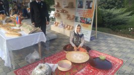 В Лянкяране проходит Фестиваль чая, чалтыка и цитрусовых (ФОТО)