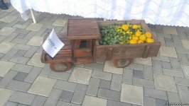 В Лянкяране проходит Фестиваль чая, чалтыка и цитрусовых (ФОТО)