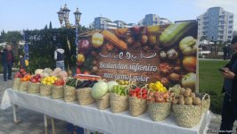 В Лянкяране проходит Фестиваль чая, чалтыка и цитрусовых (ФОТО)